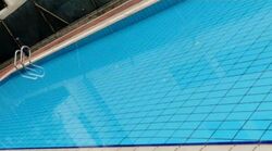 Wing Fong Mansions (D14), Apartment #443406061
